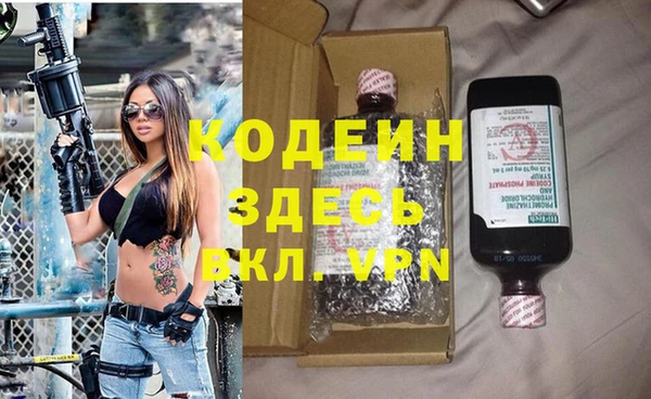 сатива Кулебаки