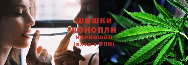 сатива Кулебаки