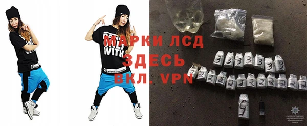 сатива Кулебаки