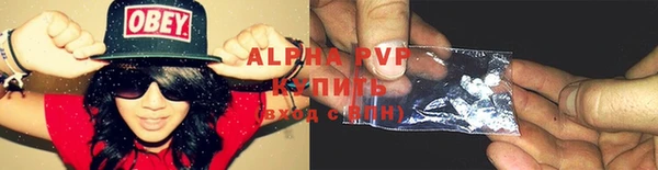 сатива Кулебаки