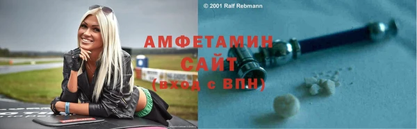 сатива Кулебаки