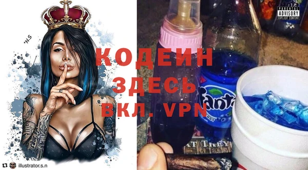 сатива Кулебаки