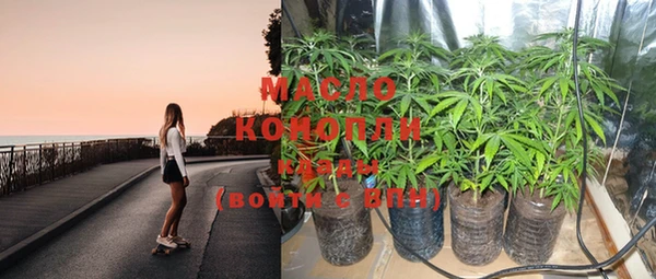 сатива Кулебаки