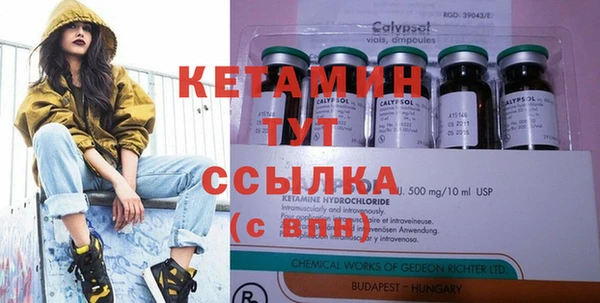 ГАЛЛЮЦИНОГЕННЫЕ ГРИБЫ Лагань