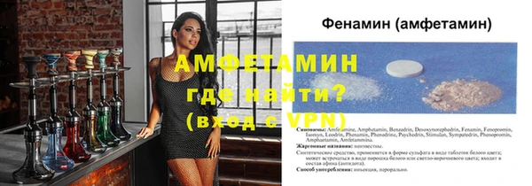 сатива Кулебаки