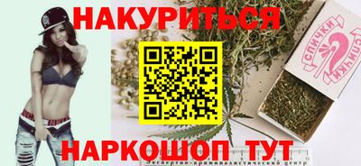 прущие грибы Норильск