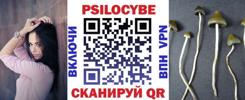 Галлюциногенные грибы Psilocybe  Михайловка 