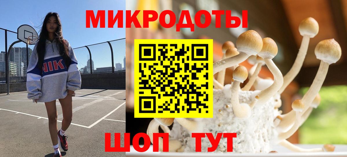 Псилоцибиновые грибы мицелий  Вход с VPN  Михайловка  Псилоцибиновые грибы Cubensis 